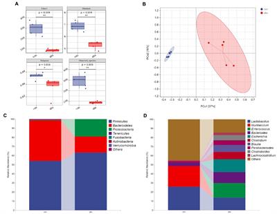 Maternal antibiotic treatment during pregnancy attenuates the transport and absorption of maternal antibody IgG through TLR4 and TLR2 receptor